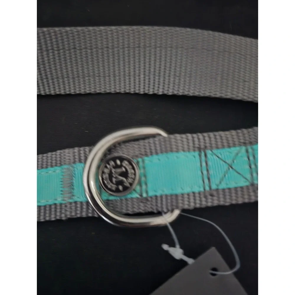 Martha Stewart‎ Gray & Mint Adjustable Nylon Large Dog Collar Size 20 (18-26in)